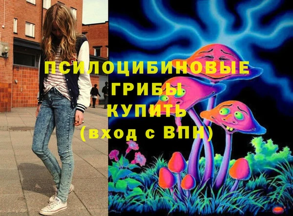 PSILOCYBIN Белокуриха